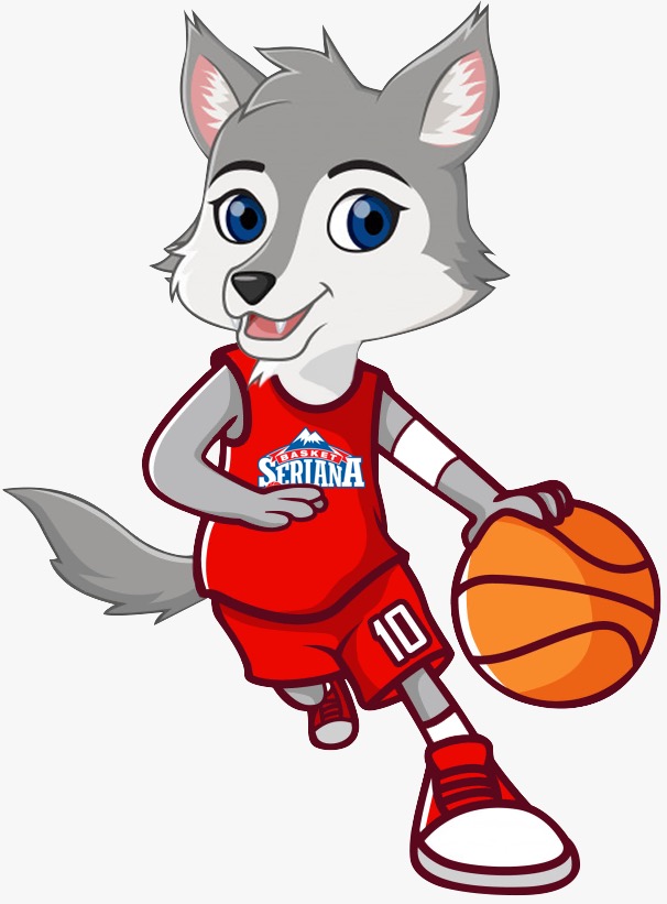 MiniBasket